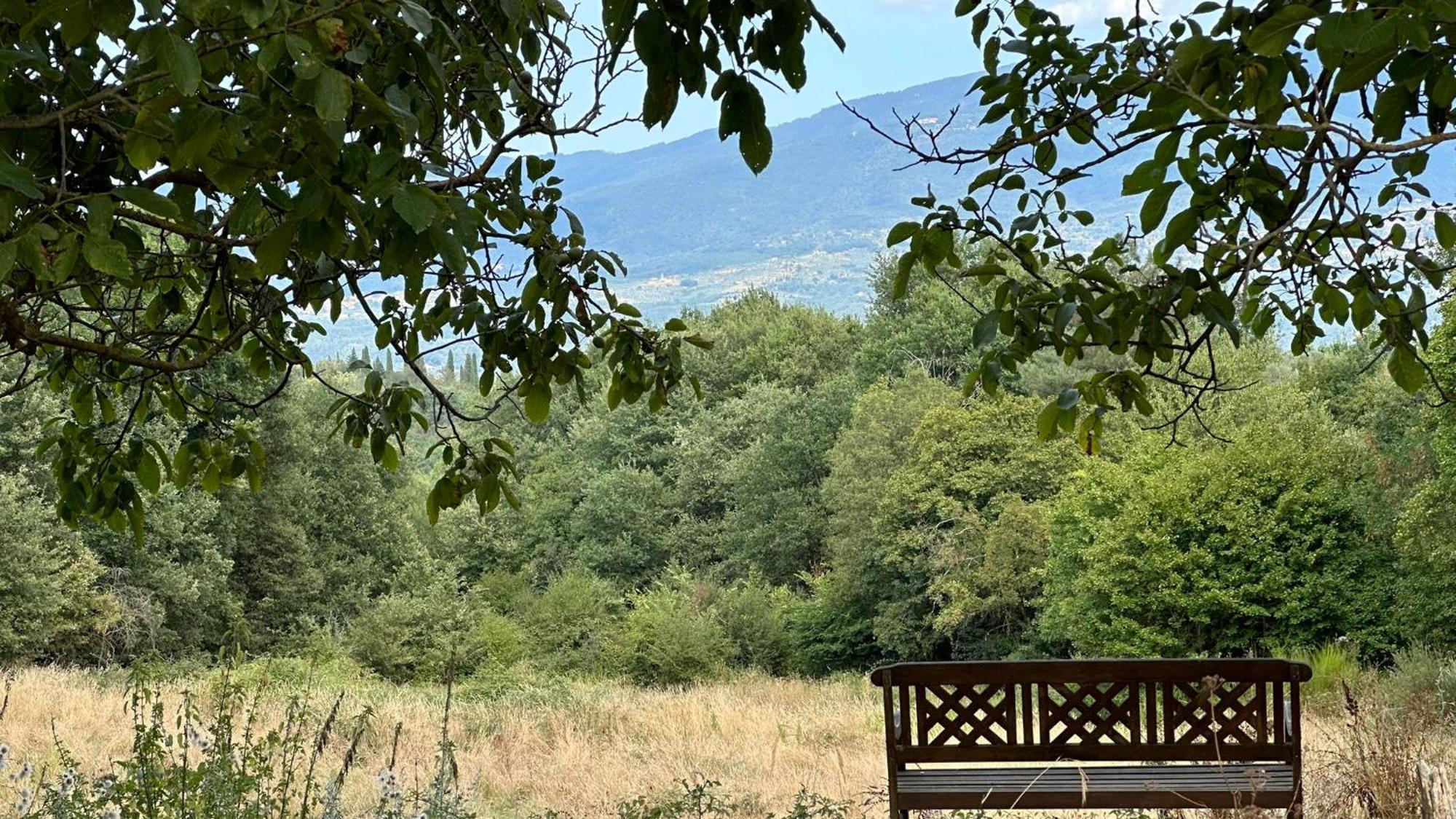 Borgo San Michele Incisa Tuscany Инчиза-ин-Валь-д'Арно Экстерьер фото