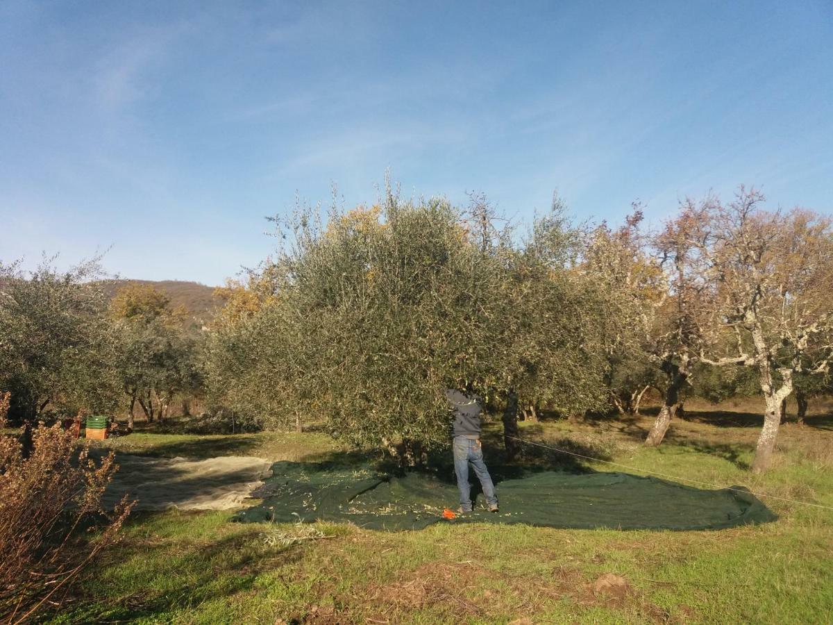Borgo San Michele Incisa Tuscany Инчиза-ин-Валь-д'Арно Экстерьер фото